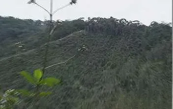 Finca en venta en El Carmen, El Retiro · foto 9 de 19