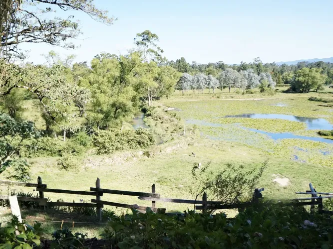 Finca en venta en Barro Blanco, Rionegro, 61500 m² · foto 14 de 24