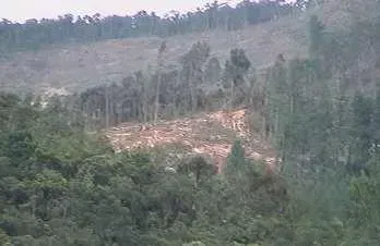 Finca en venta en El Carmen, El Retiro · foto 11 de 19