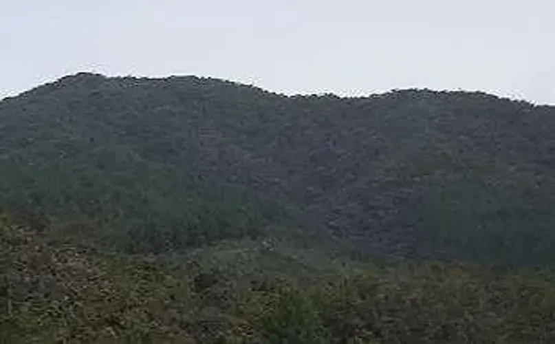 Finca en venta en El Carmen, El Retiro · foto 12 de 19