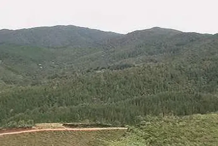 Finca en venta en El Carmen, El Retiro · foto 13 de 19