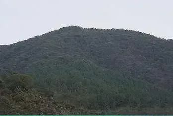 Finca en venta en El Carmen, El Retiro · foto 14 de 19