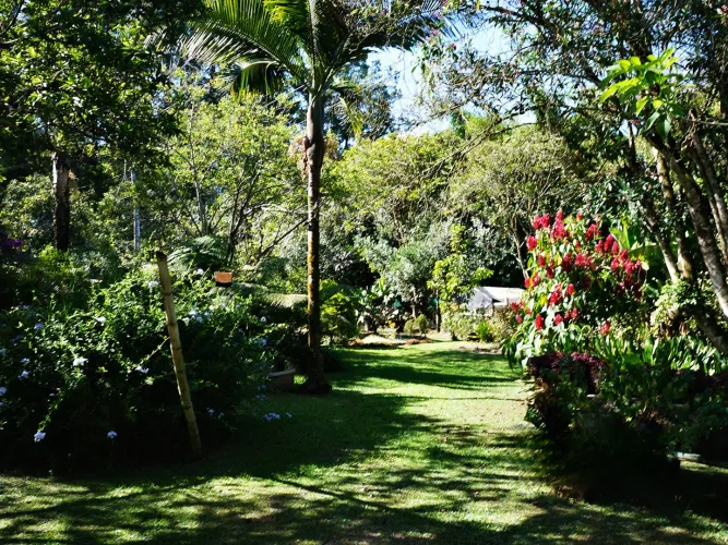 Finca en venta en Barro Blanco, Rionegro, 61500 m² · foto 20 de 24