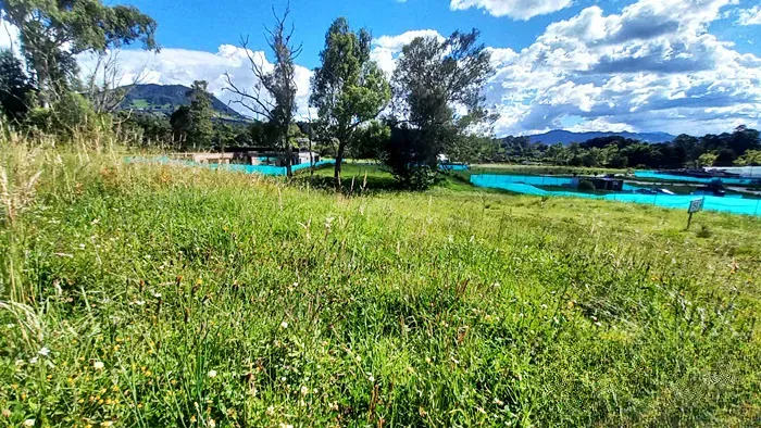 Lote en venta en San Miguel, La Ceja, 2164 m² · foto 5 de 7