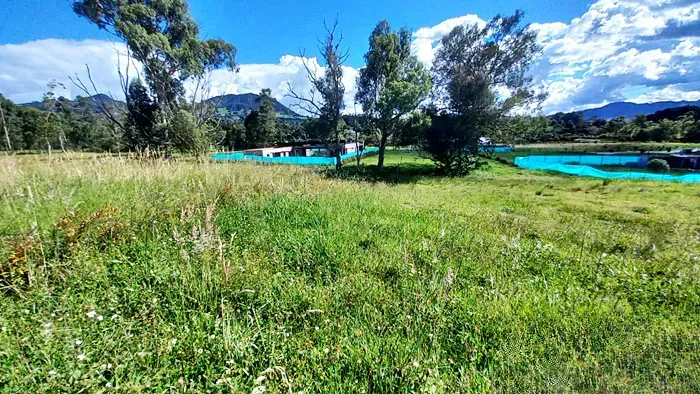 Lote en venta en San Miguel, La Ceja, 2164 m² · foto 7 de 7