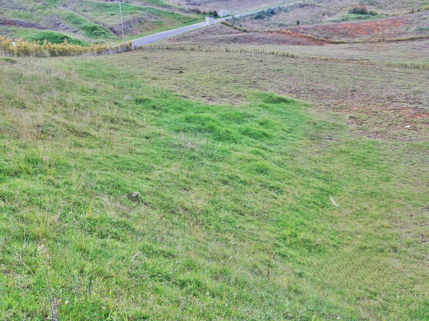 Land in El chuscal (2225 m²) for Sale