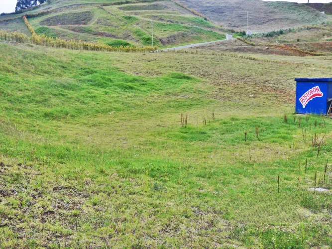 Lote en venta en El Chuscal, El Retiro, 2225 m² · foto 9 de 11