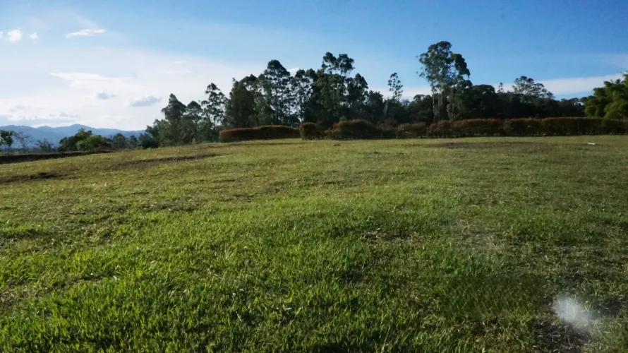 Lote en venta en Cabeceras De Llanogrande, Rionegro, 2500 m² · foto 4 de 9