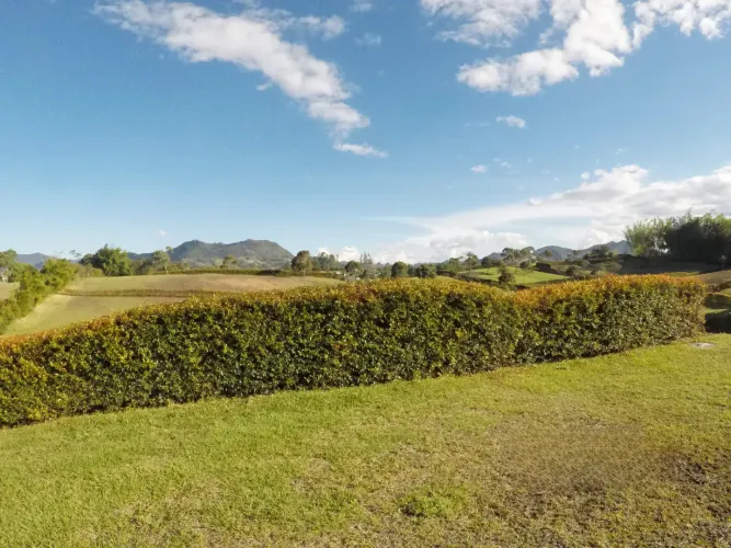 Lote en venta en Cabeceras De Llanogrande, Rionegro, 2500 m² · foto 5 de 9