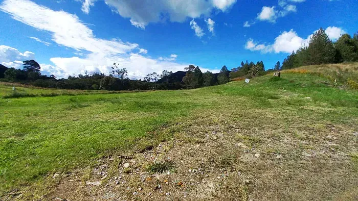 Lote en venta en San Miguel, La Ceja, 2500 m² · foto 4 de 10