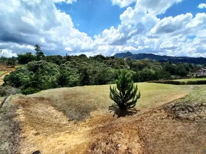 Lote en venta en El Carmen de Viboral, 2920 m² · foto 5 de 10