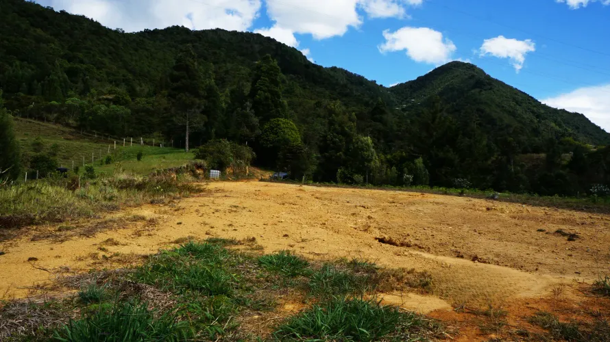 Lote en venta en La Sonadora, El Carmen de Viboral, 2500 m² · foto 4 de 9
