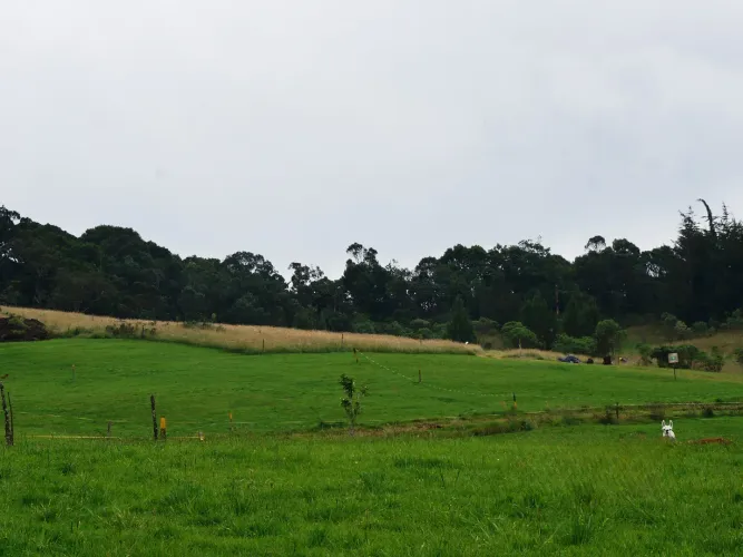 Lote en venta en Vía Las Palmas, Envigado, 2000 m² · foto 6 de 13