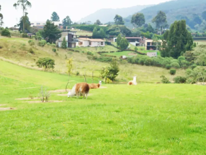 Lote en venta en Vía Las Palmas, Envigado, 2000 m² · foto 8 de 13
