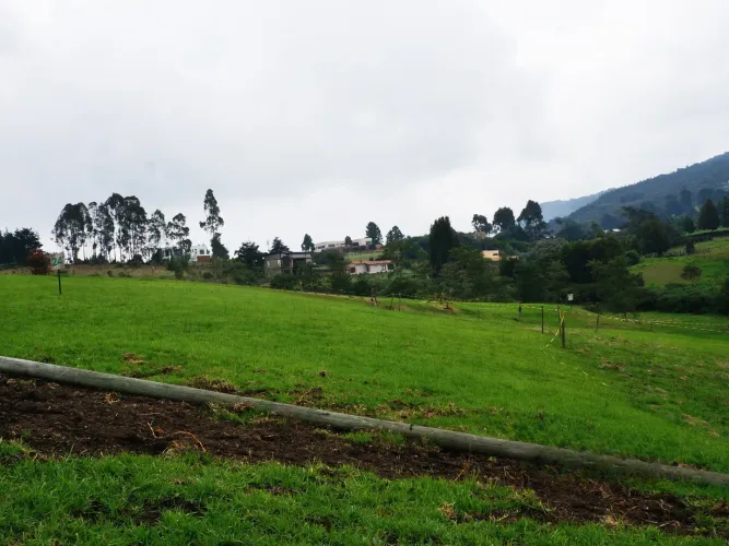 Lote en venta en Vía Las Palmas, Envigado, 2000 m² · foto 9 de 13