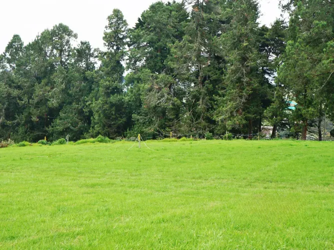Lote en venta en Vía Las Palmas, Envigado, 2000 m² · foto 10 de 13
