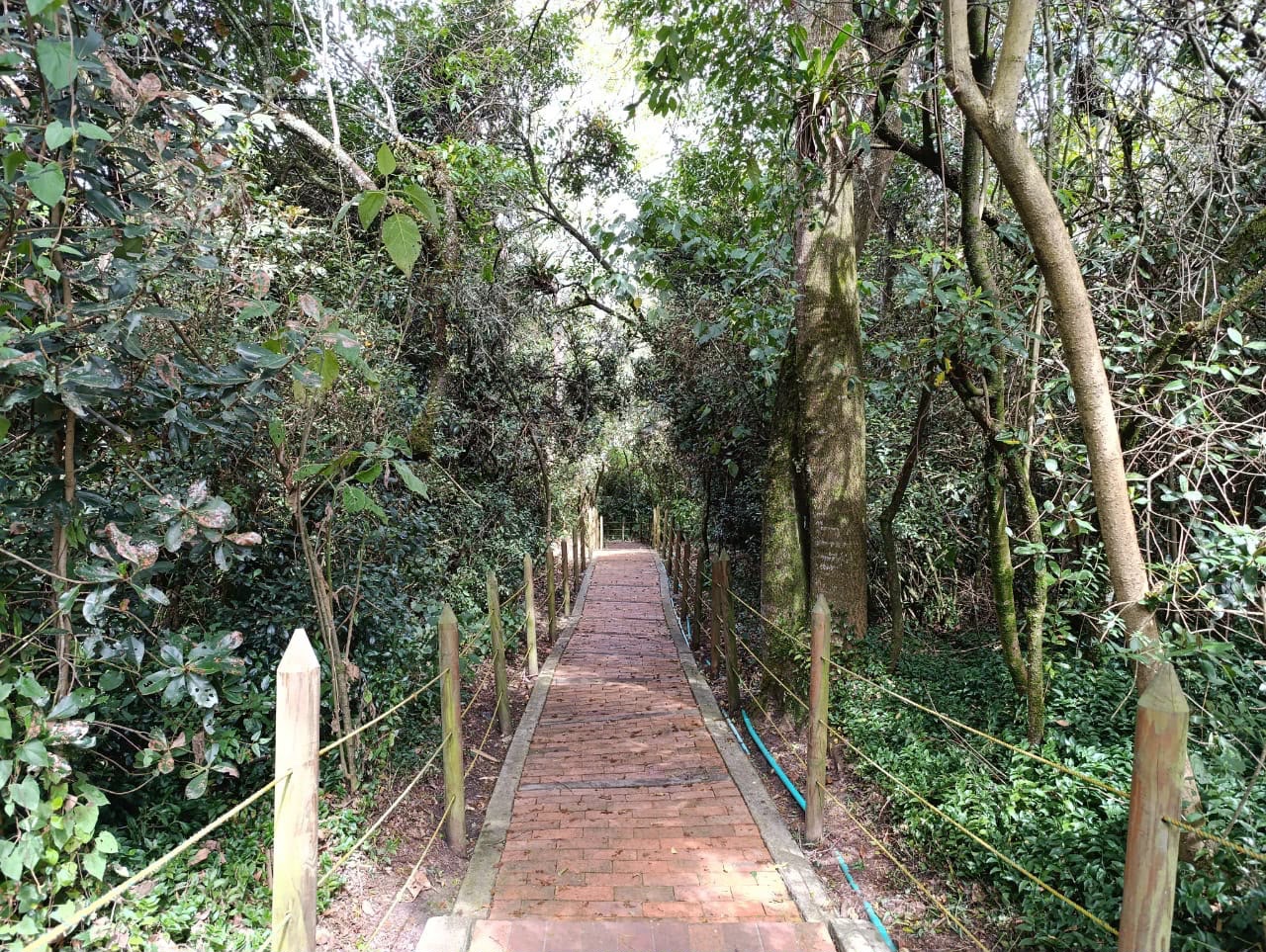 Casa en venta en Gratamira, Bogotá · foto 12 de 24