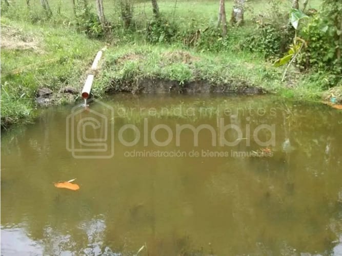 Finca en venta en La Laja, Guarne, 114 m² · foto 8 de 13