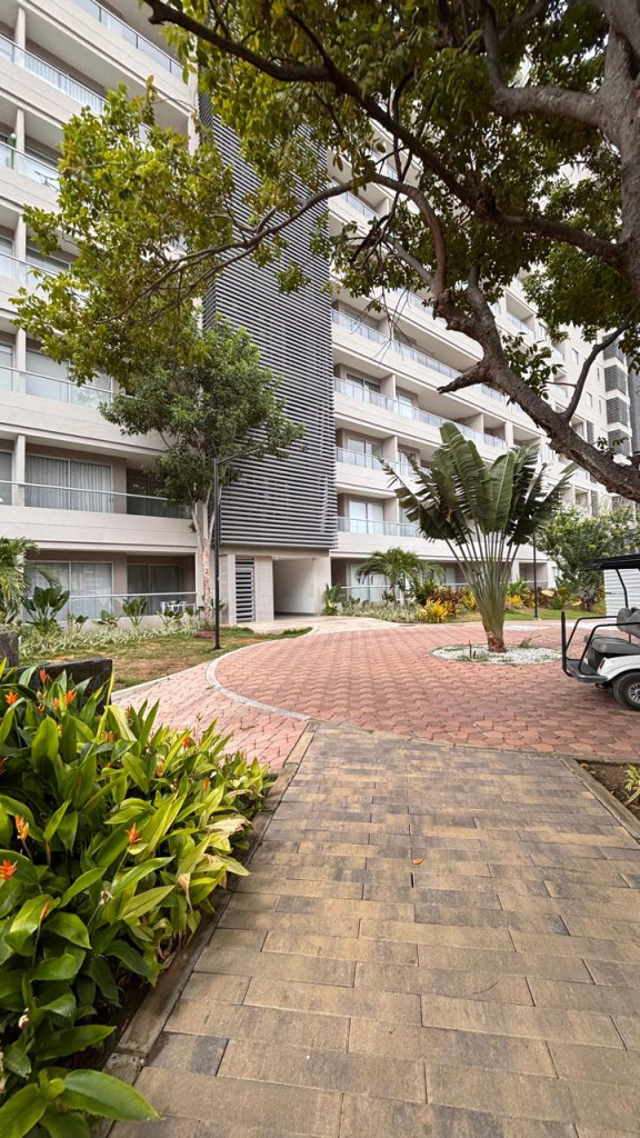 Apartaestudio en arriendo en Don Jaca, Santa Marta · foto 16 de 17