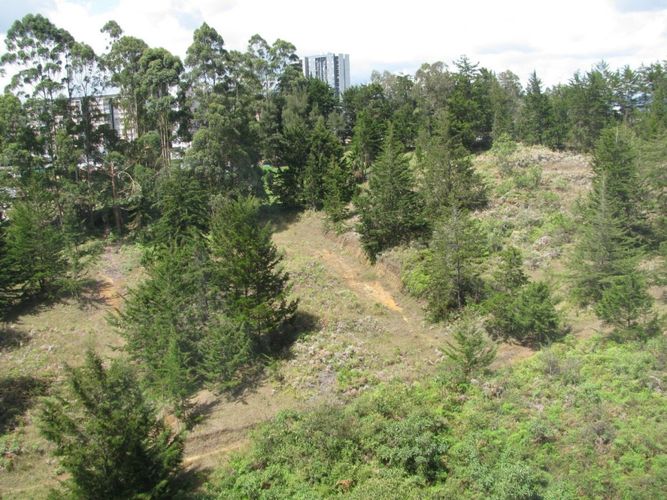Apartamento de 2 alcobas en venta en El Porvenir, Rionegro, 77 m² · foto 12 de 17