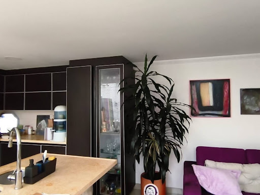 Apartamento en venta en Belalcazar, Bogotá · foto 9 de 11