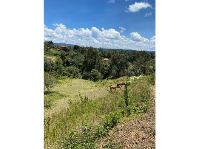 Lote en venta en Playa Rica-Rancheria, Rionegro, 5400 m² · foto 4 de 16