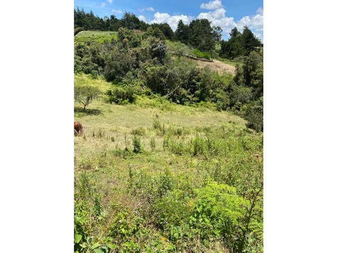 Lote en venta en Playa Rica-Rancheria, Rionegro, 5400 m² · foto 7 de 16