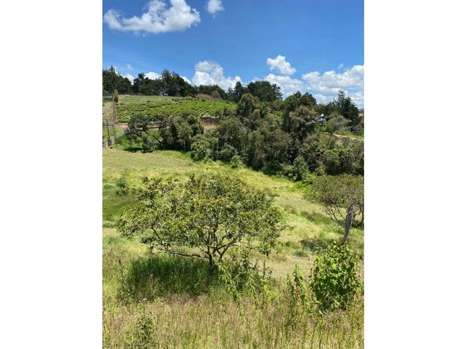 Lote en venta en Playa Rica-Rancheria, Rionegro, 5400 m² · foto 11 de 16