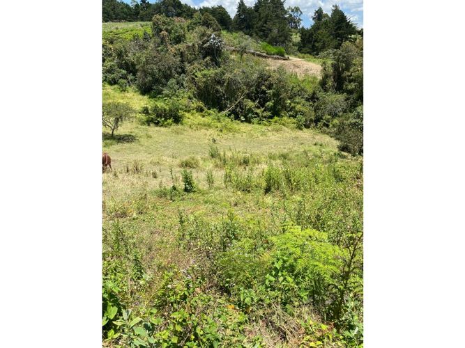 Lote en venta en Playa Rica-Rancheria, Rionegro, 5400 m² · foto 12 de 16