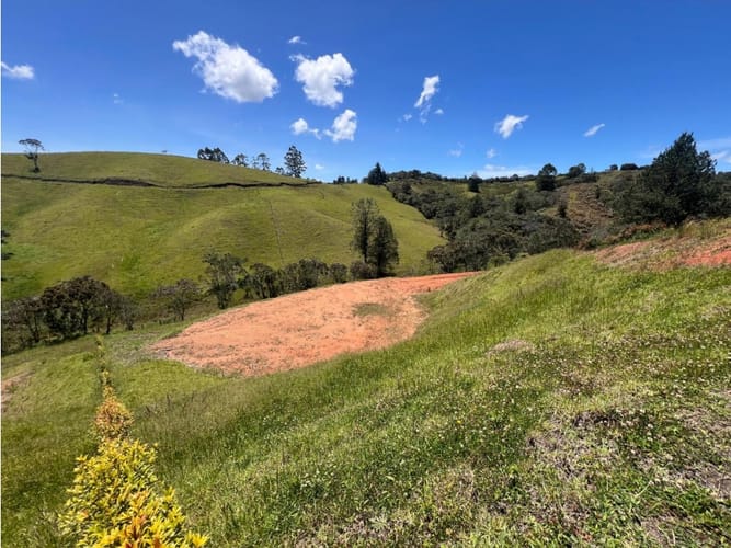 Lote en venta en El Carmen de Viboral, 2465 m² · foto 6 de 11