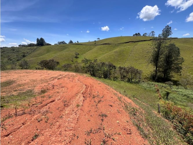 Lote en venta en El Carmen de Viboral, 2465 m² · foto 11 de 11