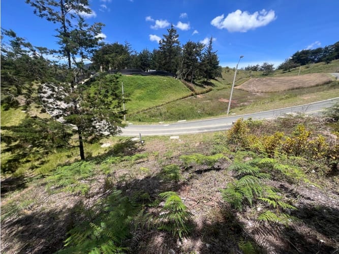 Lote en venta en Quirama, El Carmen de Viboral, 1831 m² · foto 2 de 13