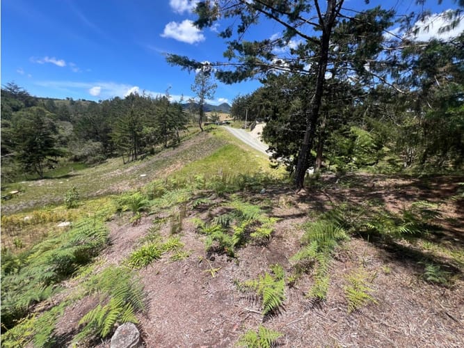 Lote en venta en Quirama, El Carmen de Viboral, 1831 m² · foto 3 de 13