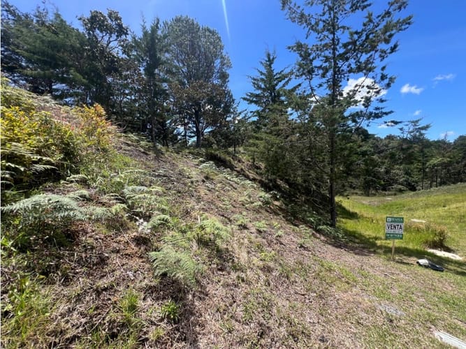Lote en venta en Quirama, El Carmen de Viboral, 1831 m² · foto 4 de 13