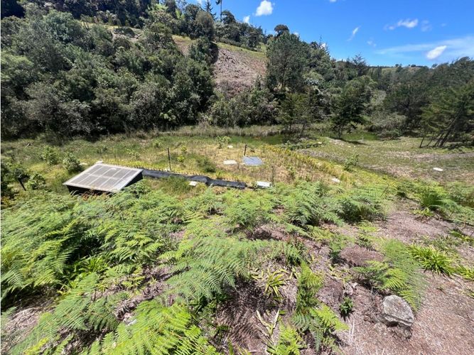 Lote en venta en Quirama, El Carmen de Viboral, 1831 m² · foto 5 de 13