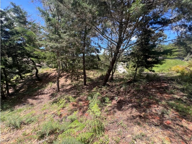 Lote en venta en Quirama, El Carmen de Viboral, 1831 m² · foto 7 de 13