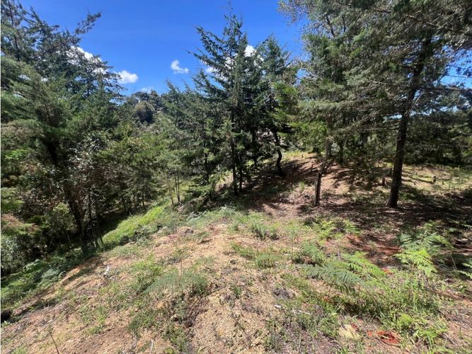 Lote en venta en Quirama, El Carmen de Viboral, 1831 m² · foto 9 de 13