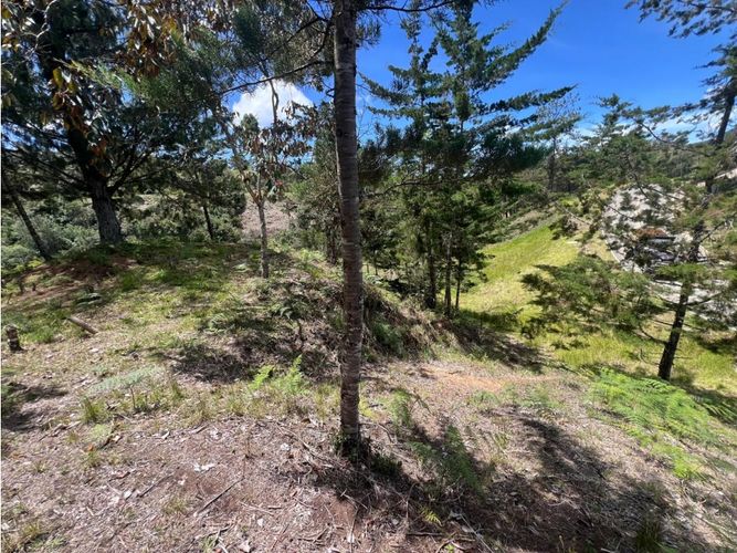 Lote en venta en Quirama, El Carmen de Viboral, 1831 m² · foto 10 de 13
