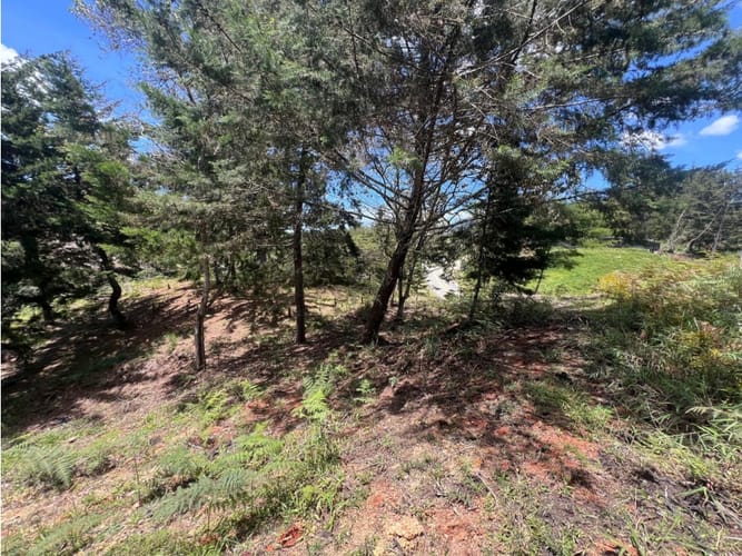 Lote en venta en Quirama, El Carmen de Viboral, 1831 m² · foto 11 de 13