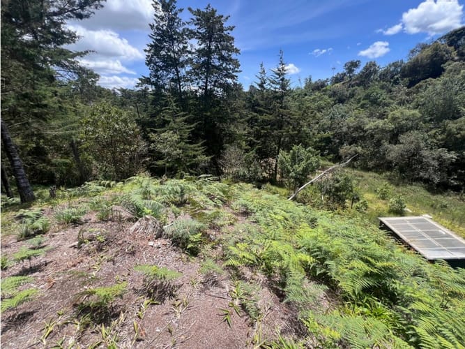Lote en venta en Quirama, El Carmen de Viboral, 1831 m² · foto 12 de 13