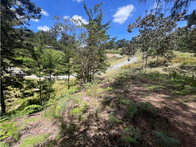 Lote en venta en Quirama, El Carmen de Viboral, 1831 m² · foto 13 de 13