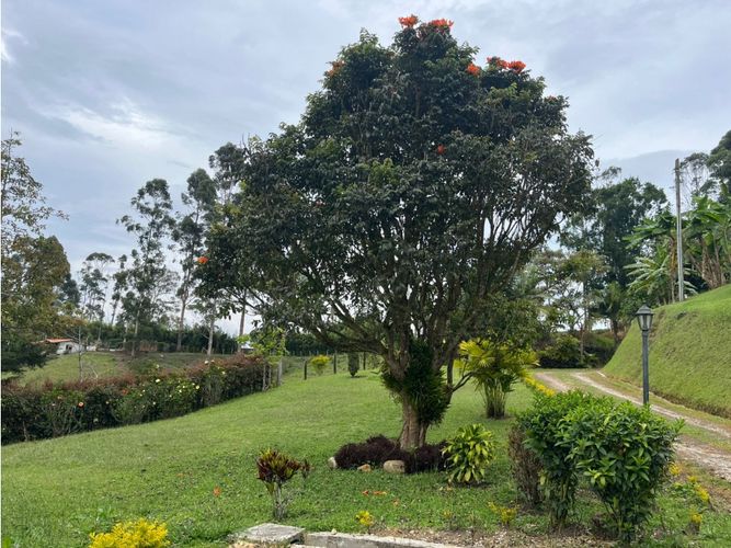 Casa en venta en Santa Ana, Medellín · foto 7 de 8