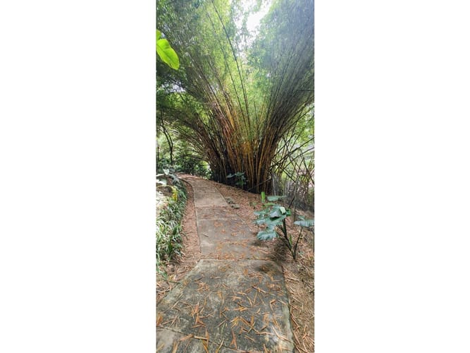Casa de 3 alcobas en venta en Cumbres, Envigado, 209 m² · foto 8 de 24