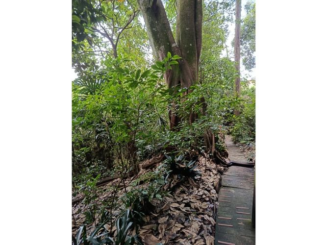 Casa de 6 alcobas en venta en Urbanizacion Gualcala, Medellín, 400 m² · foto 9 de 9