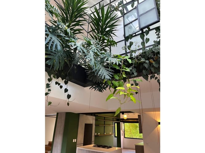 Apartamento de 3 alcobas en venta en Castropol, Medellín, 235 m² · foto 8 de 11