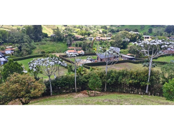 Lote en venta en Quirama, El Carmen de Viboral, 2527 m² · foto 6 de 14