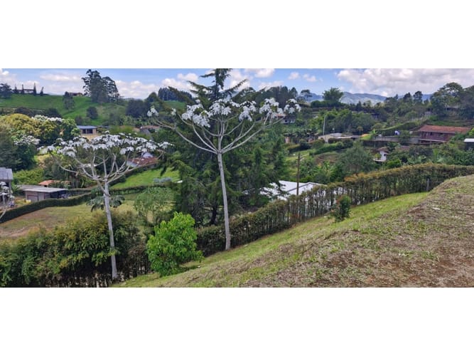 Lote en venta en Quirama, El Carmen de Viboral, 2527 m² · foto 13 de 14