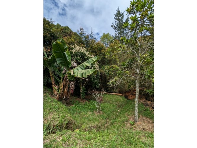 Lote en venta en El Salado, El Carmen de Viboral, 3456 m² · foto 5 de 9