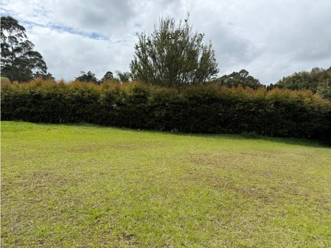Lote en venta en El Tablazo, Rionegro, 4897 m² · foto 5 de 6