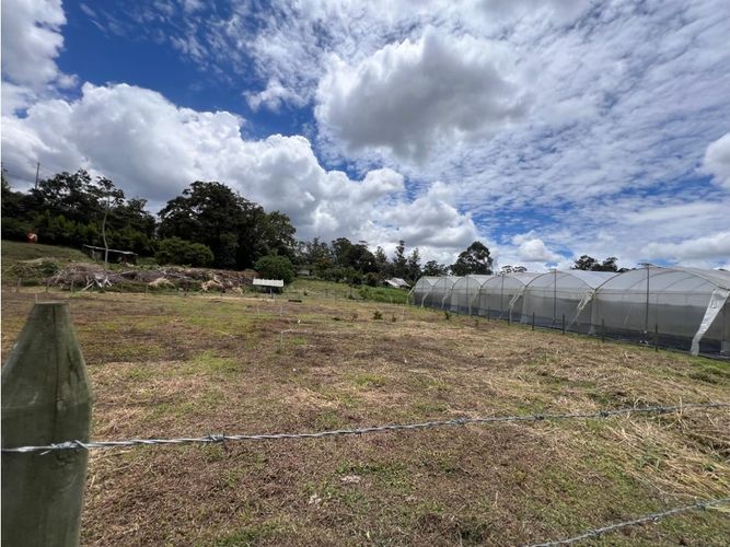 Lote en venta en El Tablazo, Rionegro, 4732 m² · foto 2 de 10